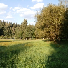 Pronájem 1+1 podkroví, Jablonec nad Nisou